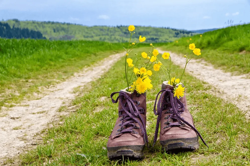 Foto de unas botas en un camino
