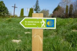 Señal del camino de Santiago